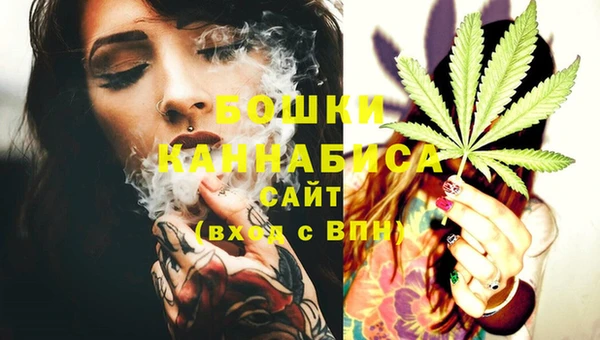 дживик Баксан