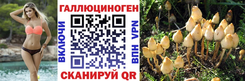 MEGA маркетплейс  Гатчина  Псилоцибиновые грибы ЛСД 